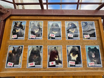 奥飛騨クマ牧場に投稿された画像（2024/8/26）