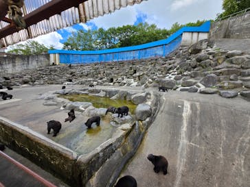 奥飛騨クマ牧場に投稿された画像（2024/8/26）