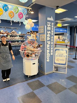 ゼロ距離水族館 伊勢シーパラダイスに投稿された画像（2024/8/26）