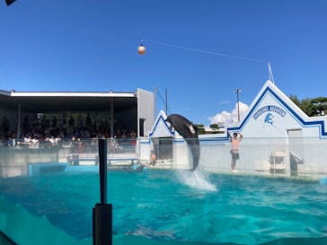 しながわ水族館に投稿された画像（2024/8/26）