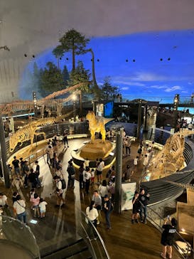 イオンシネマに投稿された画像（2024/8/26）