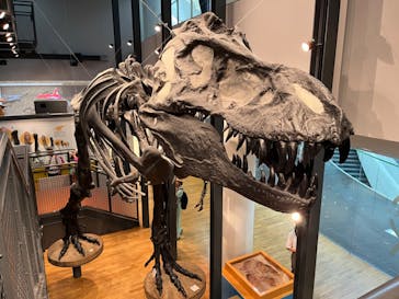 イオンシネマに投稿された画像（2024/8/26）