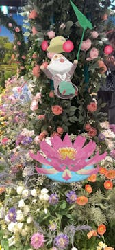 モネ＆フレンズ・アライブに投稿された画像（2024/8/26）