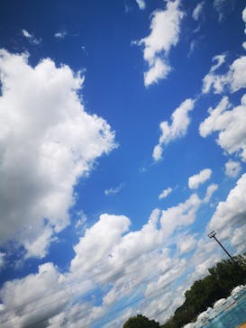 加須はなさき水上公園（埼玉県公園緑地協会）に投稿された画像（2024/8/26）