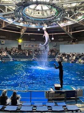 マクセル アクアパーク品川に投稿された画像（2024/8/26）