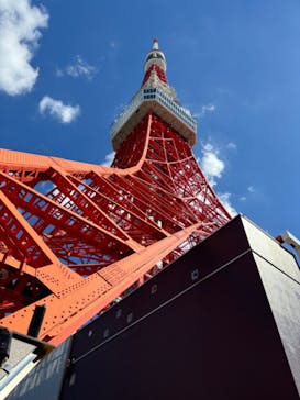 東京タワーに投稿された画像（2024/8/26）
