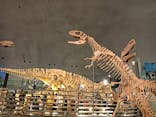 福井県立恐竜博物館に投稿された画像（2024/8/26）