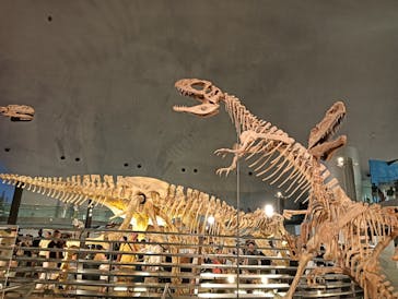 福井県立恐竜博物館に投稿された画像（2024/8/26）