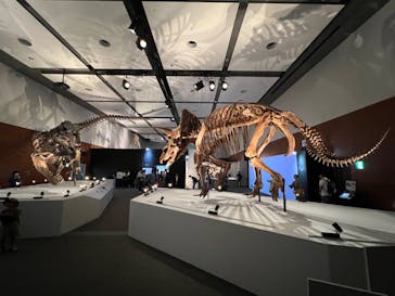 DinoScience 恐竜科学博 ～ララミディア大陸の恐竜物語～ 2024@OSAKAに投稿された画像（2024/8/26）