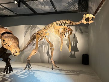 DinoScience 恐竜科学博 ～ララミディア大陸の恐竜物語～ 2024@OSAKAに投稿された画像（2024/8/26）