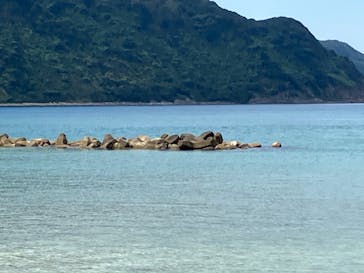 松江サップ＆カフェに投稿された画像（2024/8/26）