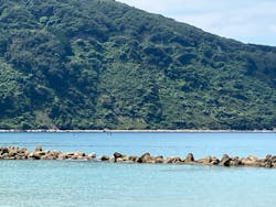 松江サップ＆カフェに投稿された画像（2024/8/26）