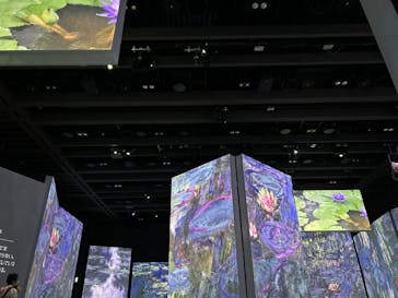 モネ＆フレンズ・アライブに投稿された画像（2024/8/26）