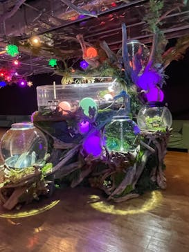 NARA IKIMONO MUSEUMに投稿された画像（2024/8/26）