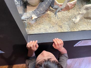 NARA IKIMONO MUSEUMに投稿された画像（2024/8/26）