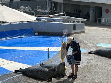 大分マリーンパレス水族館 「うみたまご」に投稿された画像（2024/8/26）