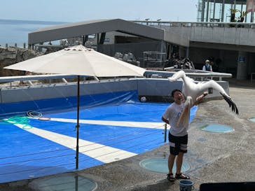 大分マリーンパレス水族館 「うみたまご」に投稿された画像（2024/8/26）