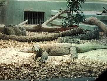 名古屋市東山動植物園に投稿された画像（2024/8/26）