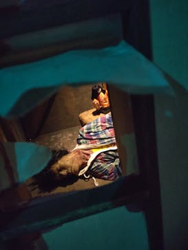 新潟県立自然科学館に投稿された画像（2024/8/26）