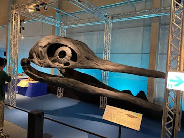 巨大恐竜展2024に投稿された画像（2024/8/26）