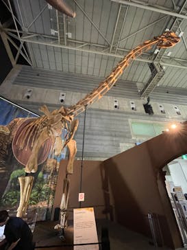 巨大恐竜展2024に投稿された画像（2024/8/26）