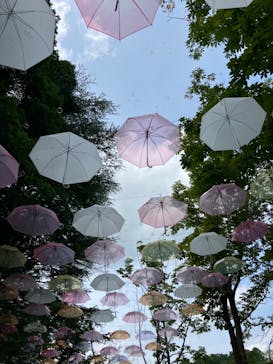 ムーミンバレーパークに投稿された画像（2024/8/26）