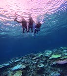 西表島 ADVENTURE PiPi（アドベンチャーピピ）に投稿された画像（2024/8/27）