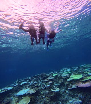 西表島 ADVENTURE PiPi（アドベンチャーピピ）に投稿された画像（2024/8/26）