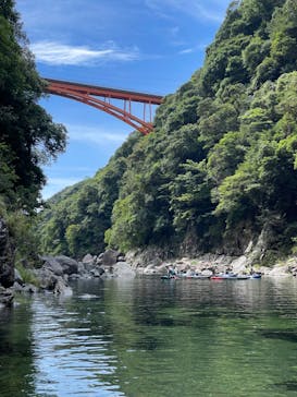 屋久島フィールド情報センターに投稿された画像（2024/8/26）