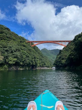 屋久島フィールド情報センターに投稿された画像（2024/8/26）