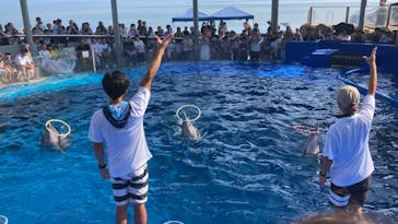 大分マリーンパレス水族館 「うみたまご」に投稿された画像（2024/8/27）
