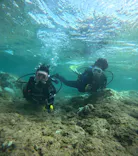 武藤潜水に投稿された画像（2024/8/27）