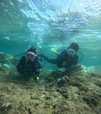 武藤潜水に投稿された画像（2024/8/27）