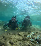 武藤潜水に投稿された画像（2024/8/27）