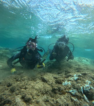 武藤潜水に投稿された画像（2024/8/27）