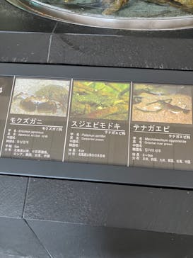 アクアワールド茨城県大洗水族館に投稿された画像（2024/8/27）