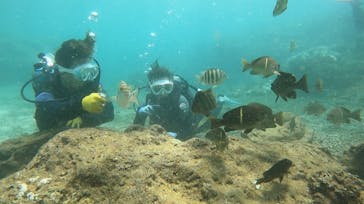 武藤潜水に投稿された画像（2024/8/27）