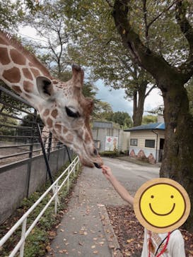 宇都宮動物園に投稿された画像（2024/8/27）