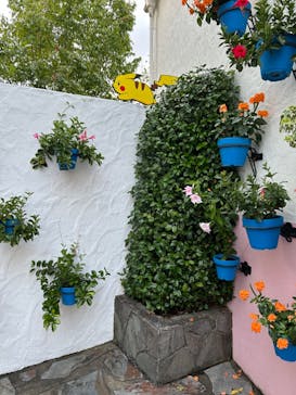 志摩スペイン村パルケエスパーニャに投稿された画像（2024/8/27）