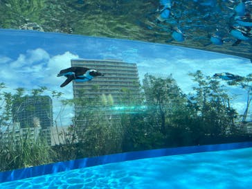 サンシャイン水族館に投稿された画像（2024/8/27）
