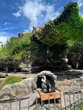 サンシャイン水族館に投稿された画像（2024/8/27）