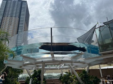 サンシャイン水族館に投稿された画像（2024/8/27）