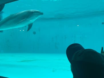 しながわ水族館に投稿された画像（2024/8/27）