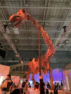 巨大恐竜展2024に投稿された画像（2024/8/27）