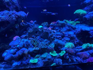 マクセル アクアパーク品川に投稿された画像（2024/8/27）