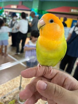 いきもの探検隊上尾に投稿された画像（2024/8/27）