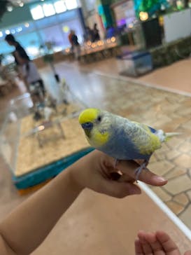 いきもの探検隊上尾に投稿された画像（2024/8/27）