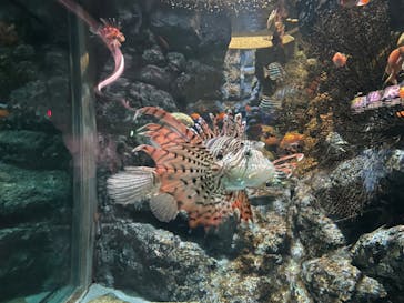 名古屋港水族館に投稿された画像（2024/8/27）