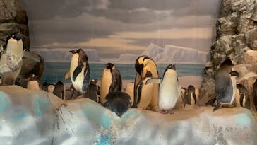 名古屋港水族館に投稿された画像（2024/8/27）