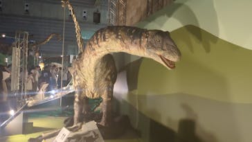 巨大恐竜展2024に投稿された画像（2024/8/27）